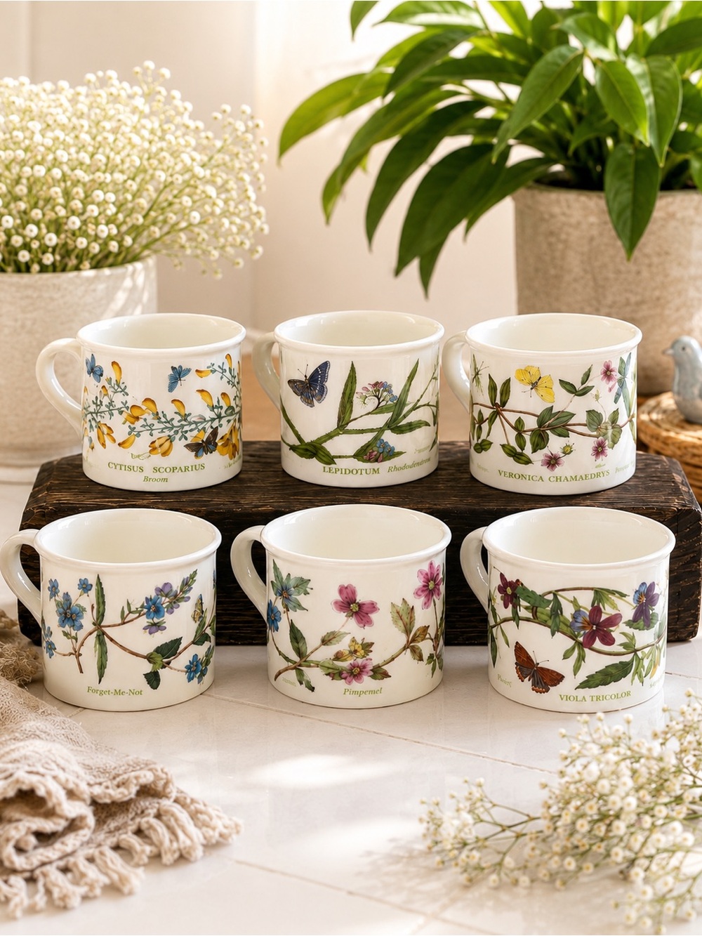 Portmeirion Botanic Garden Set of 6 Mugs Susan Williams-Ellis Made England